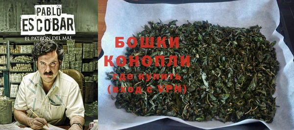 гашик Дмитровск