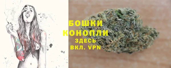 гашик Дмитровск