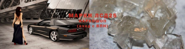 гидра Елабуга