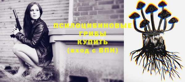 гашик Дмитровск