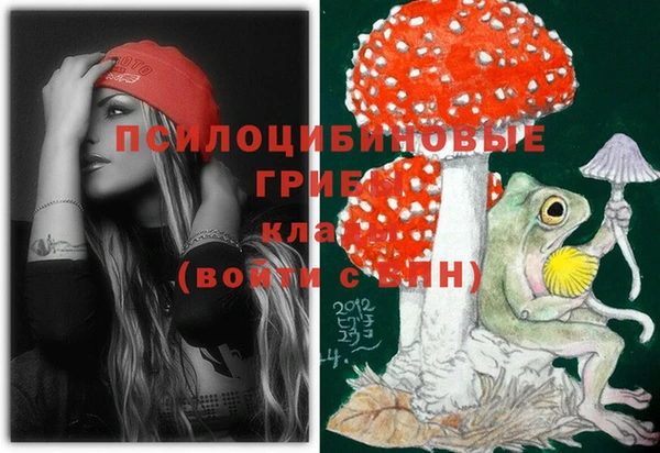 гашик Дмитровск