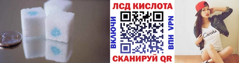 Купить закладки  Нестеров  ЛСД экстази ecstasy 